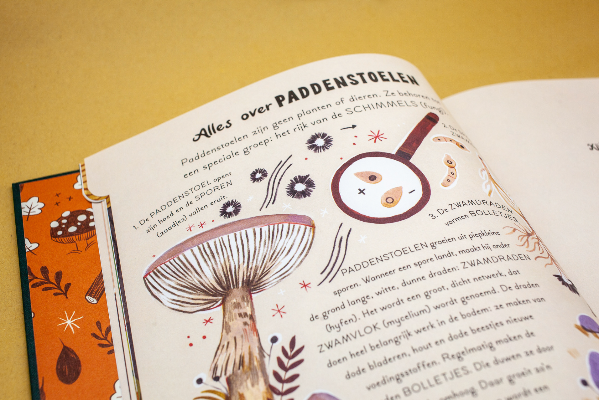 Het woud vol wonderen