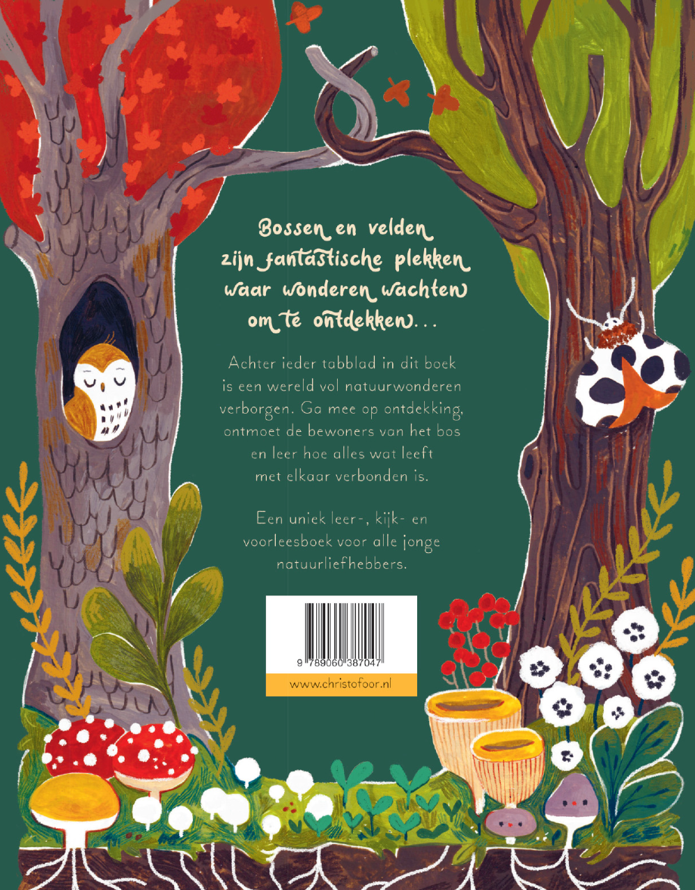 Het woud vol wonderen