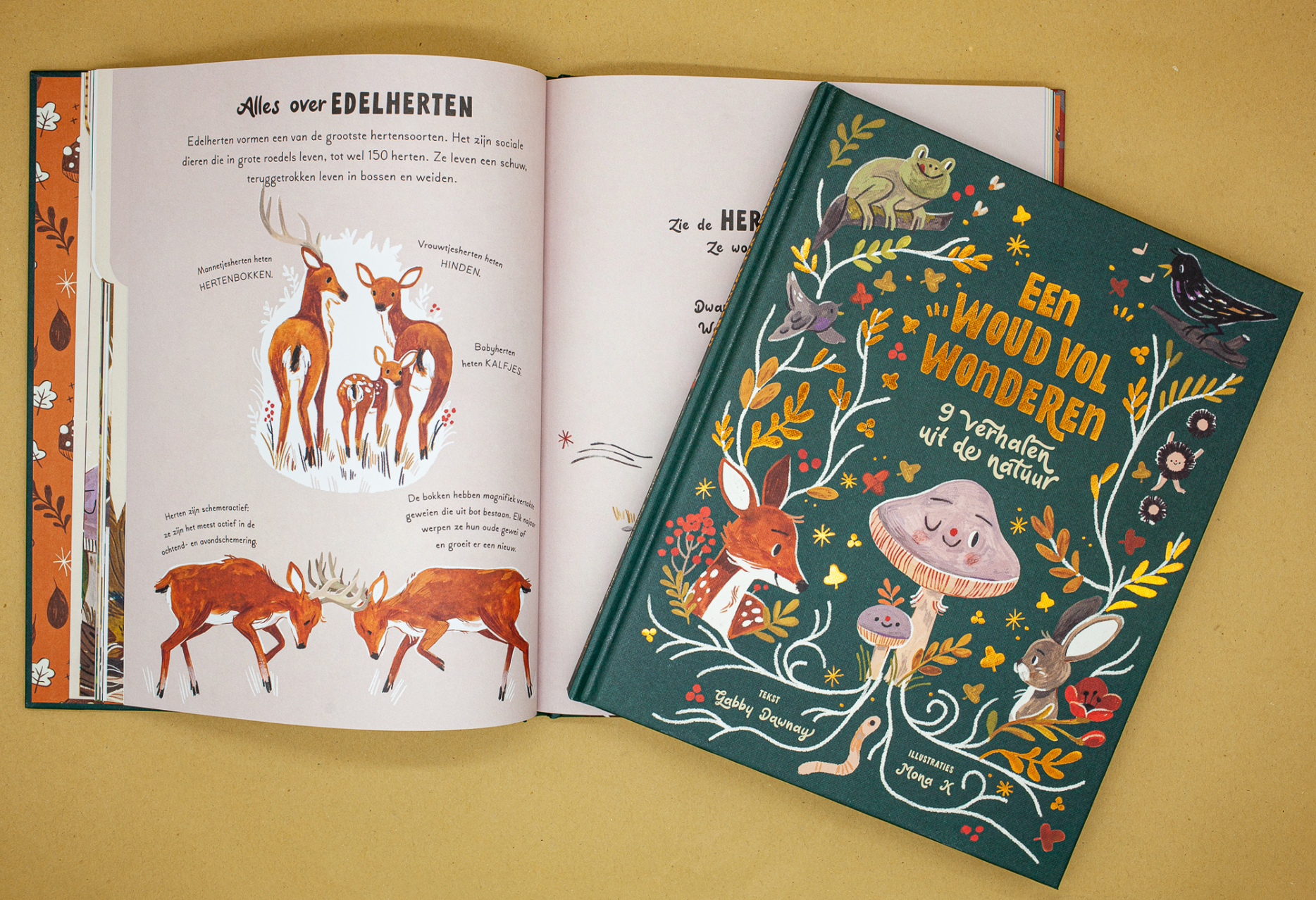 Het woud vol wonderen